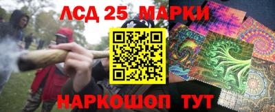 мдпв Донской