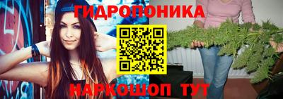 дурь Гусиноозёрск