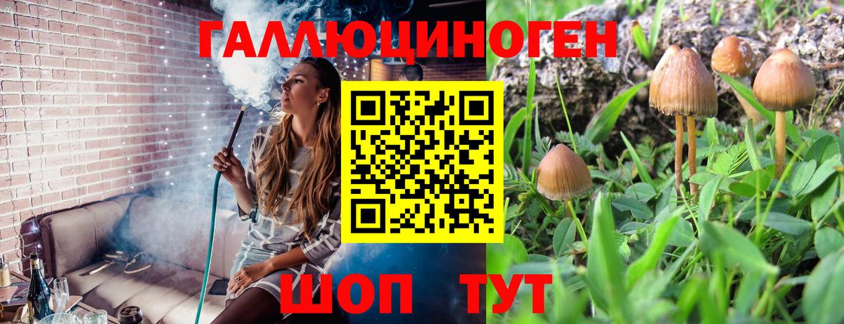 Псилоцибиновые грибы мухоморы  Псилоцибиновые грибы мухоморы  Луховицы  Вход с VPN 