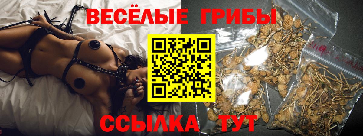 Галлюциногенные грибы мицелий Луховицы